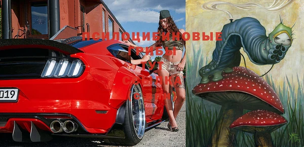 мяу мяу мука Дмитров