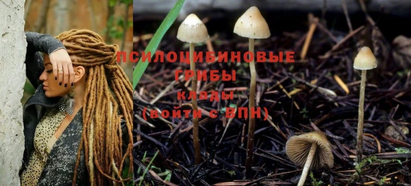 гидра Дмитриев