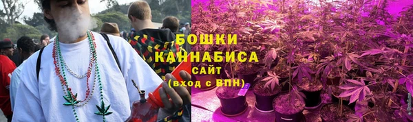 гидра Дмитриев