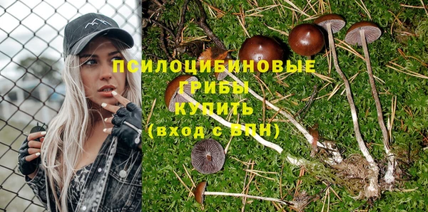 эйфоретик Дмитровск